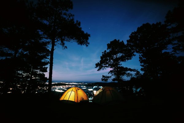 Du vin et des vagues : les croisières gastronomiques pour les amateurs de vin