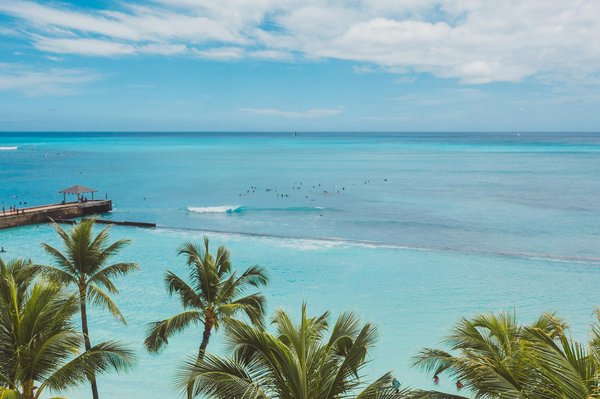 Découvrez les merveilles aquatiques d'aqualand cap d'agde